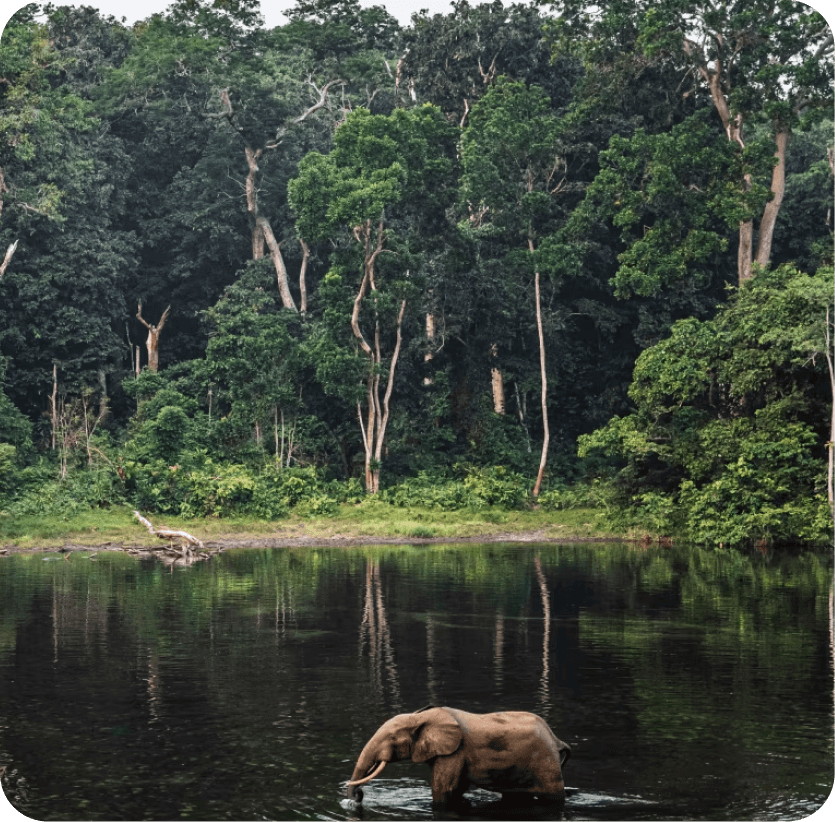 esim central african republic banner