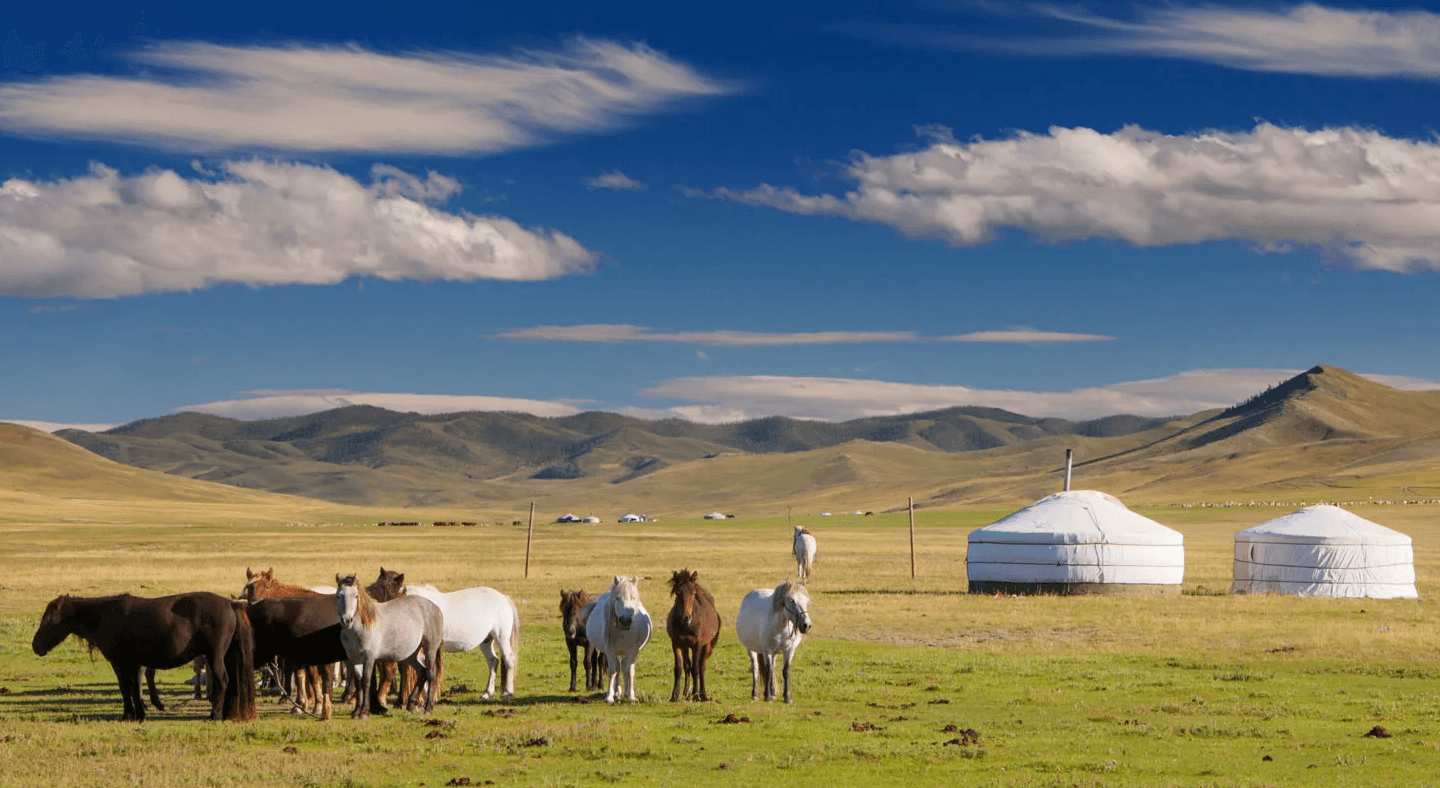 esim mongolia banner