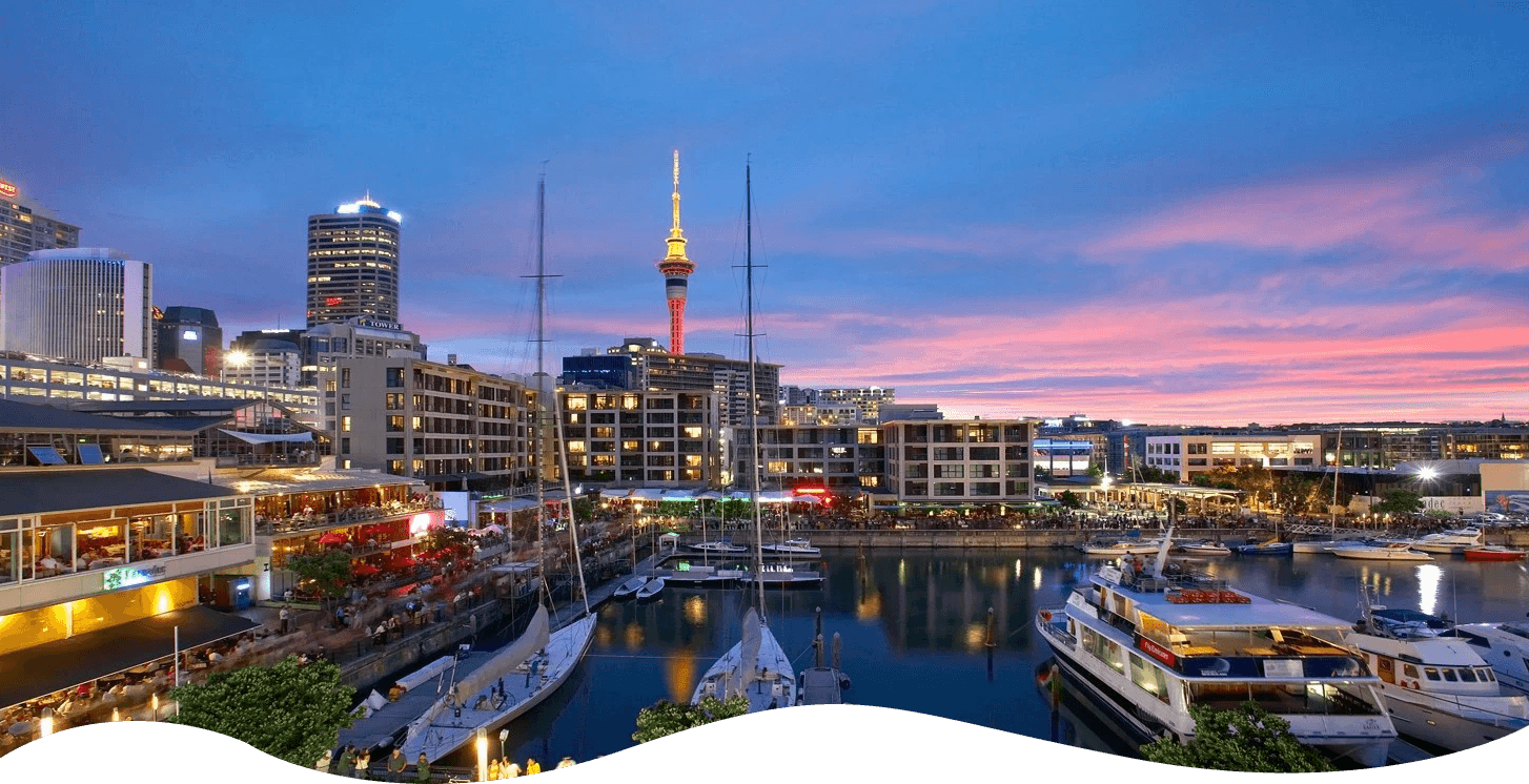 esim new zealand banner