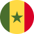 esim Senegal flag