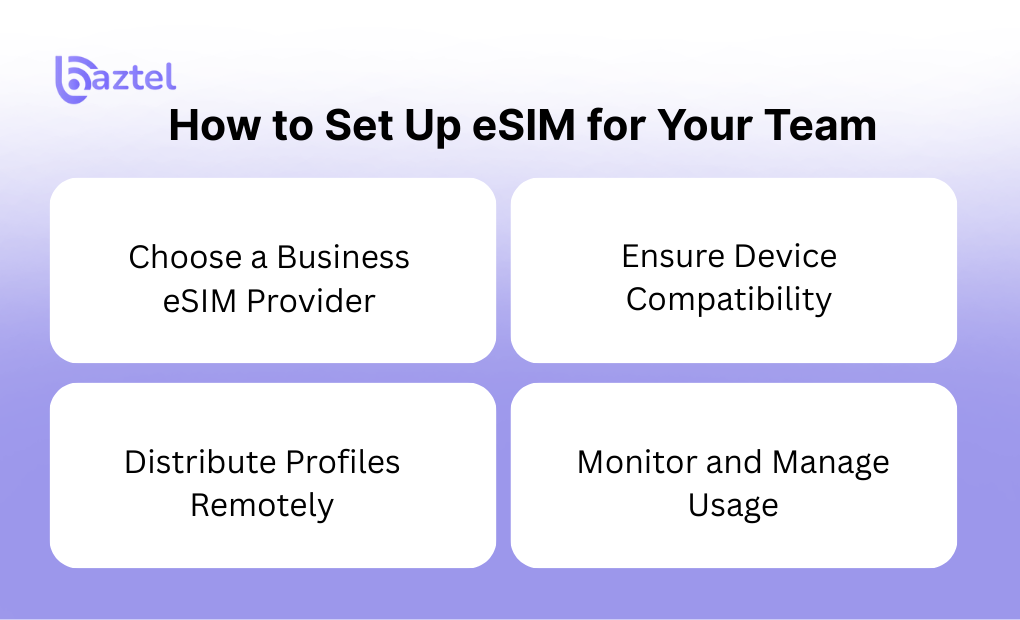 How to Set Up eSIM for Your Team
