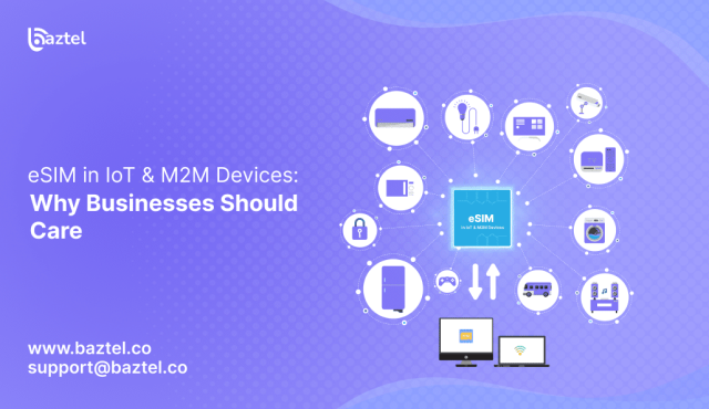 eSIM in IoT & M2M Devices_ Why Businesses Should Care