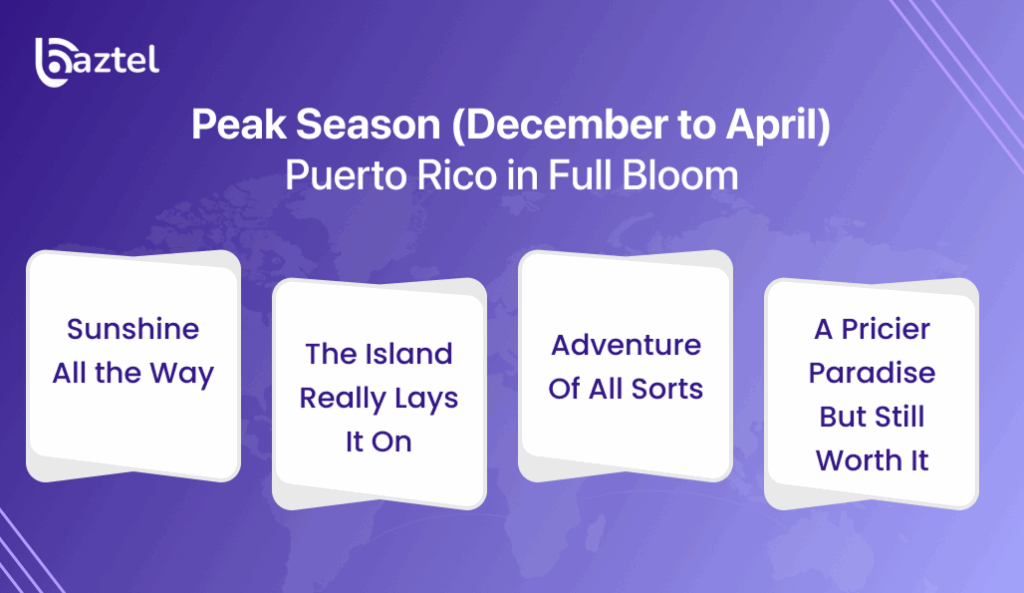 Peak Season (December to April) Puerto Rico in Full Bloom