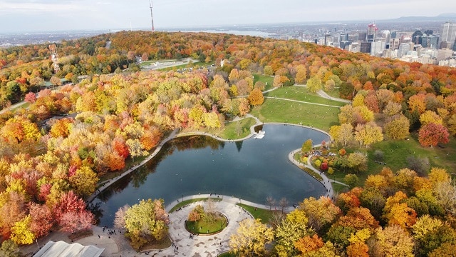 Mont Royal Park