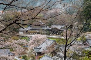 Rural network coverage in Japan