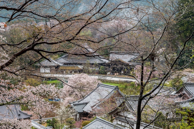 Rural network coverage in Japan