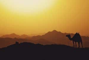 Local SIM in Middle East